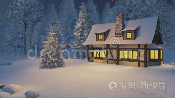 降雪之夜的照明屋和圣诞树视频