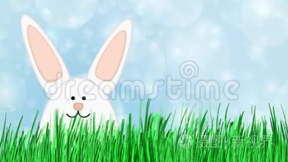 复活节兔子卡通插图广告空间