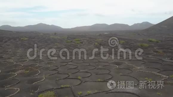 欧洲加那利群岛兰萨罗特黑色火山土壤上葡萄园的空中风景。