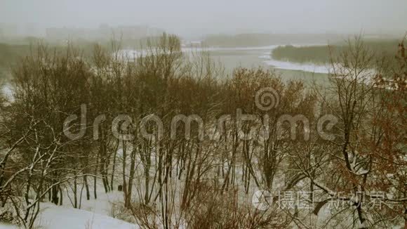 雪河和树木视频