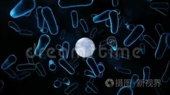 全球蓝色细菌和病毒动画视频