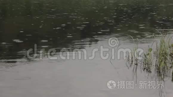 雨水落在平静的河水上视频