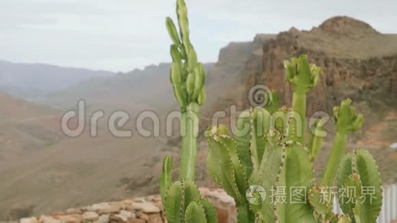 从大卡那利亚中心的观景点观看视频