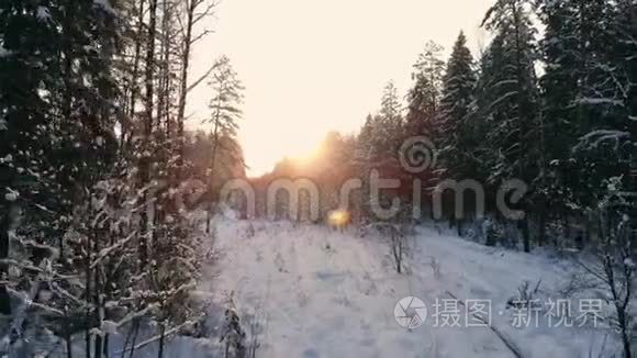 鸟瞰：冬林.. 雪树枝中看冬林.. 冬季景观，森林，树木覆盖