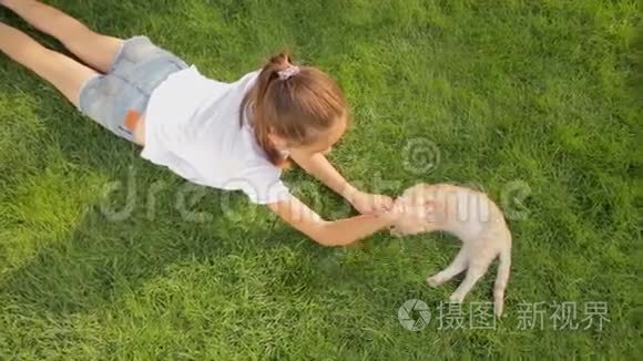 美丽的女孩躺在草地上和红色的小猫的俯视图