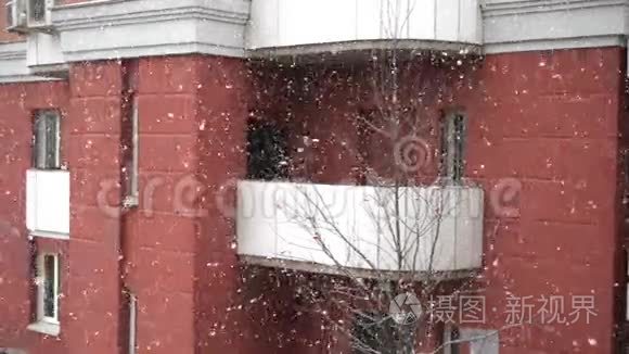 降雪，大片雪花.