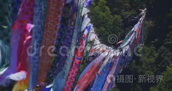 伊巴拉基大桥的鲤鱼流光，白天阳光明媚