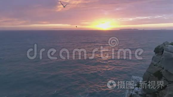 令人惊叹的日落海鸥海洋慢动作视频