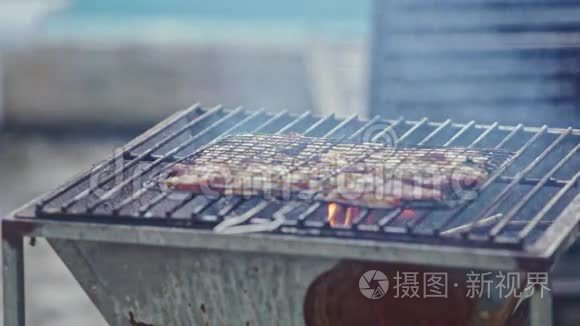 鲜肉烤炉在明火上燃烧视频