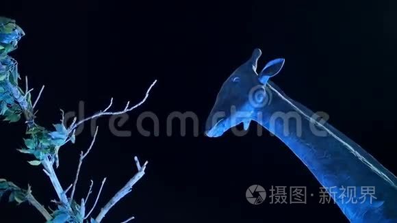 夜光中的长颈鹿雕像视频