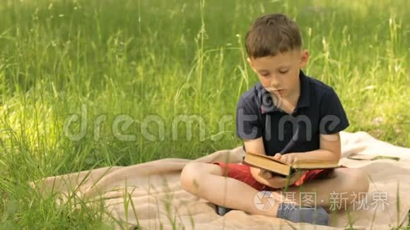一个男孩正在草地上的公园里看书