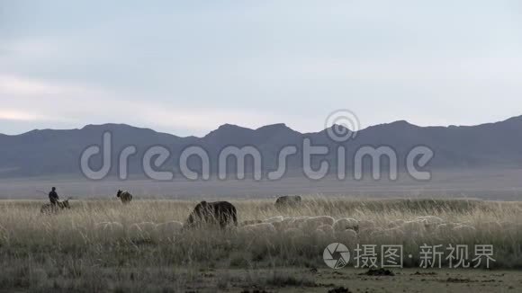 蒙古风景中的游牧民族视频