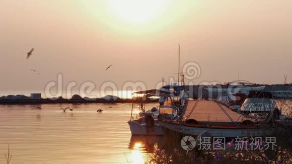 日落时有海港和海鸥的海洋景观视频