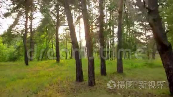 飞槽林视频