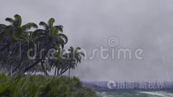 有棕榈树的暴风雨天气视频