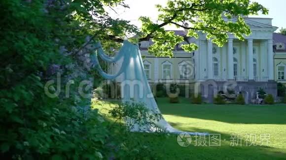 公园宫殿附近的婚礼装饰视频