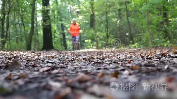 秋天跑过森林的散焦慢跑者视频