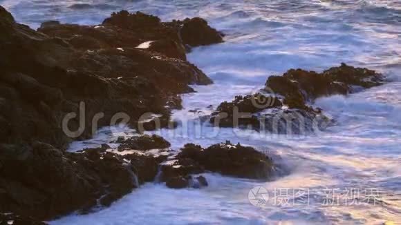 加州大南太平洋海岸的岩石海滩视频