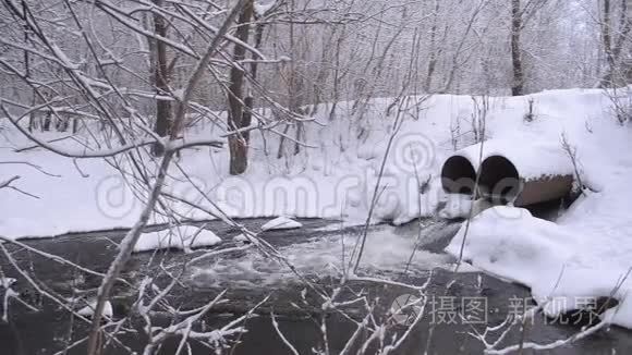 铂金在冬林中，溪水从融化的雪，树木覆盖着雪。