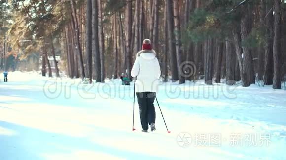 在冬季公园散步的北欧老妇人视频