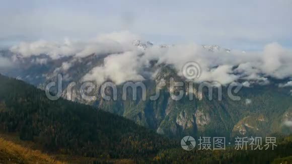 高耸的雪山和云杉林的时间流逝视频