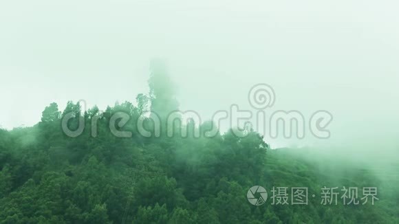 云过山. 山坡上绿树成荫.