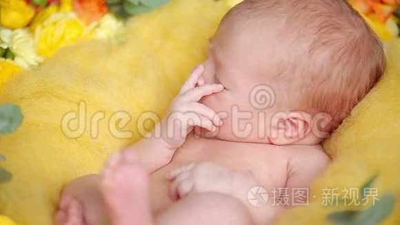 可爱的新生婴儿躺在花丛里视频