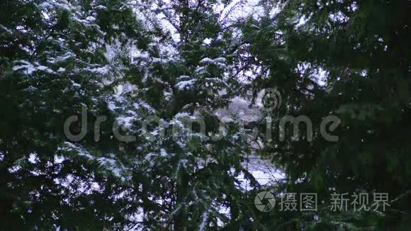 奥地利冬季缓慢运动的轻雪视频