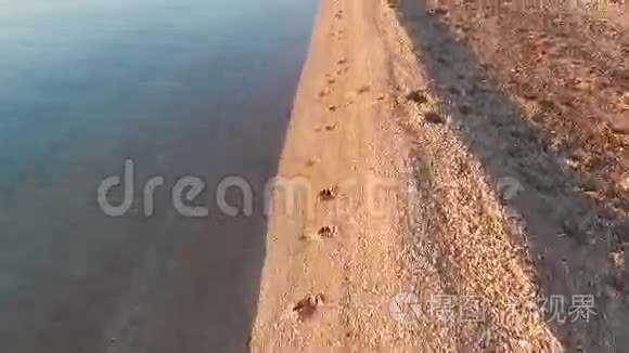 沙滩镜头上的海浪视频