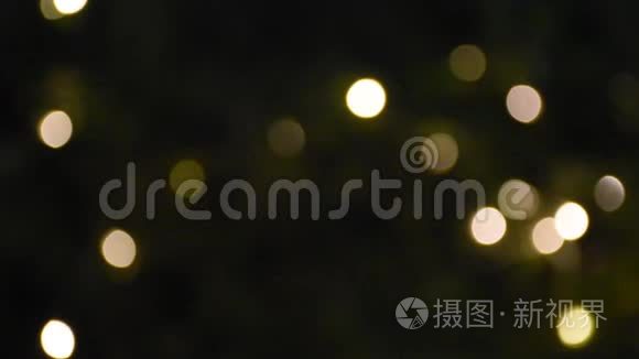 夜间花园里铅饰色彩鲜艳的运动视频