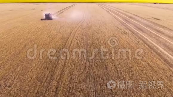 空中观景结合收割机收割小麦视频