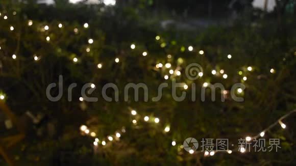 夜间花园里铅饰色彩鲜艳的运动视频