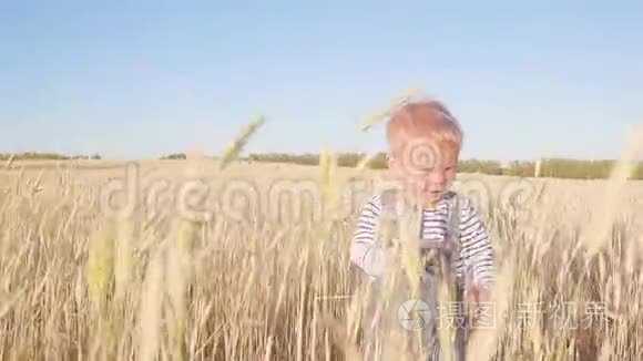 小农场主。 快乐的小男孩在阳光明媚的日子里用成熟的黑麦奔跑在田野上，慢动作。 概念。