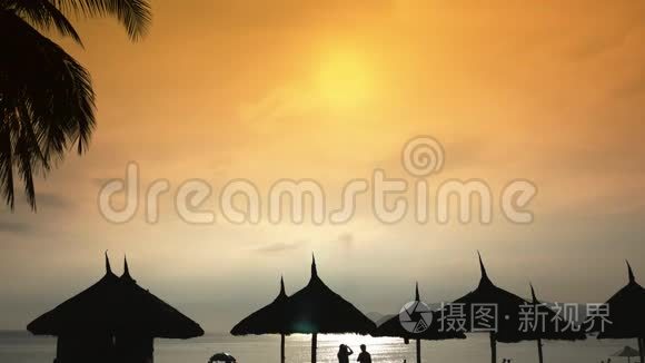 在越南的夜空中，用棕榈树剪下沙滩椅。 从海滩上的小溪看雨伞