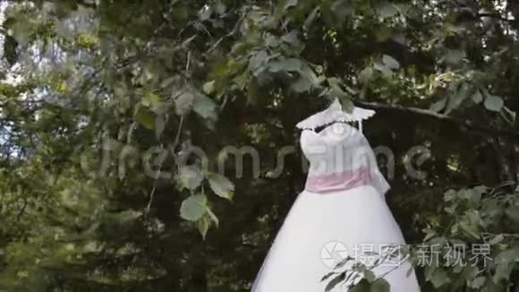 白色蕾丝婚纱挂在树枝上视频