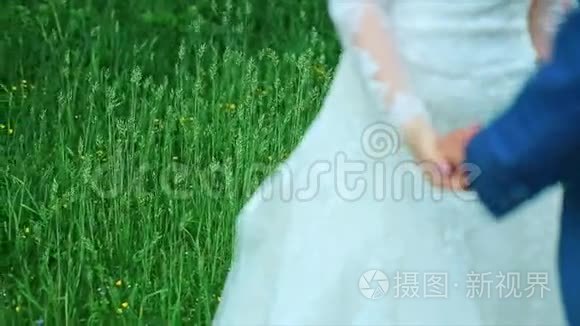 除草主题牵手新婚夫妇视频