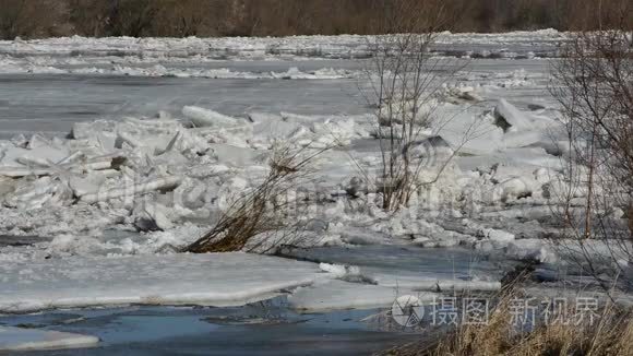 春天河流上大型浮冰的移动视频