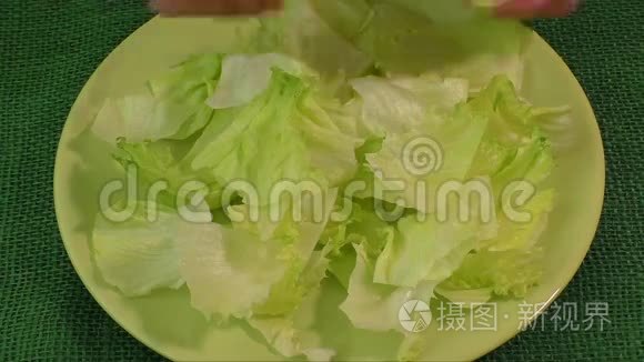 盘子里的绿叶生菜视频