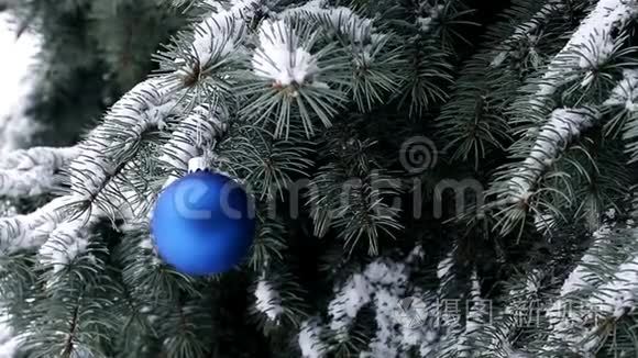 蓝色圣诞球挂在云杉和雪枝上视频