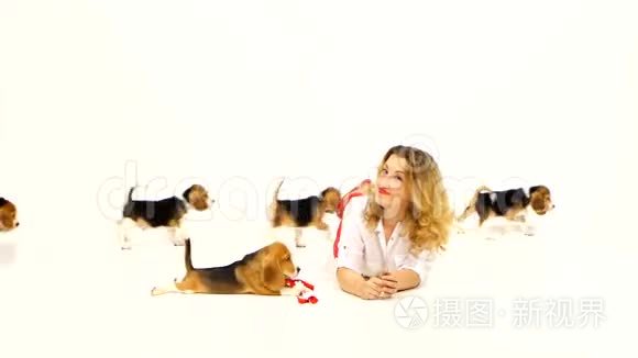 有魅力的女人他玩小猎犬视频