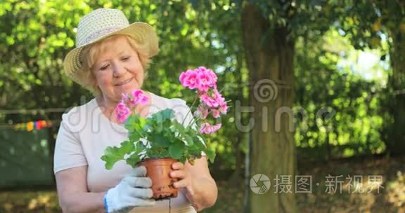 高级妇女在花园里检查盆栽视频