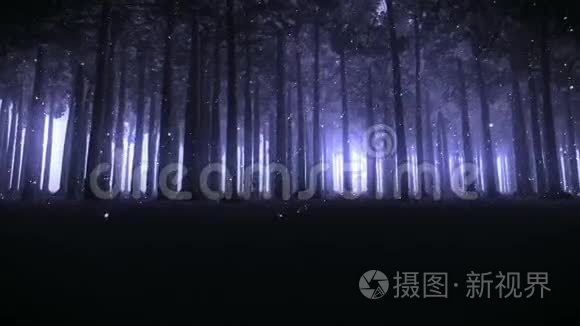 穿过一个迷人的森林镜头视频