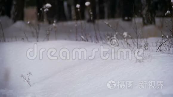 在雪天的冬天森林里，人们在深雪中奔跑。 慢动作