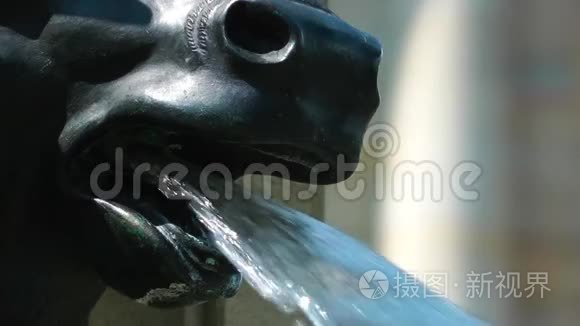 法兰克福喷泉动物雕塑视频