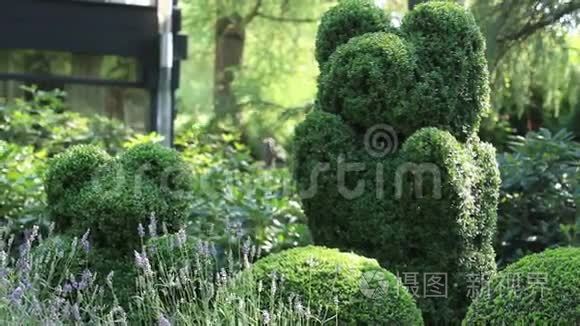 花园的屋顶视频