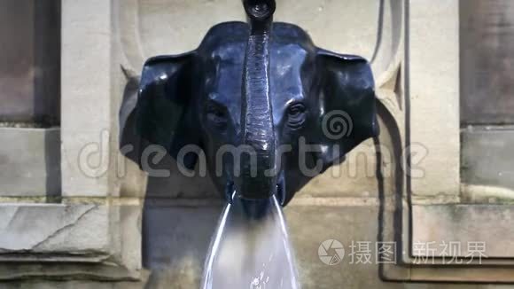 法兰克福喷泉动物雕塑视频