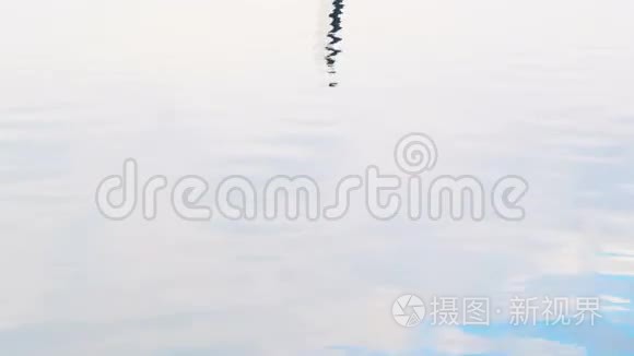 风车夜景和水的倒影视频