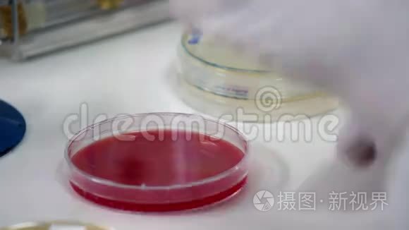 专业医学研究视频