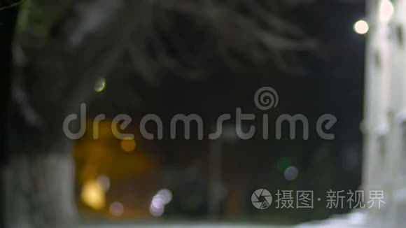 城市模糊背景下雪花飘落的夜景视频