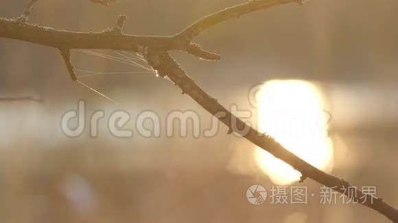 摇滚乐队在雨中在舞台上演奏视频